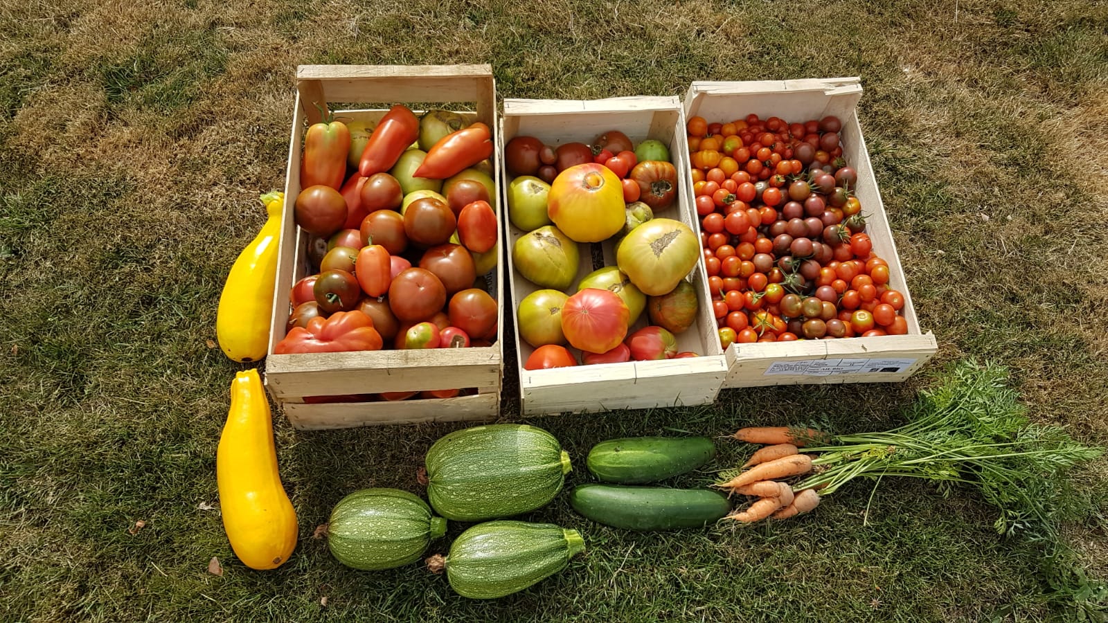 Vivre en autosuffisance alimentaire bonne idée ou utopie au refuge